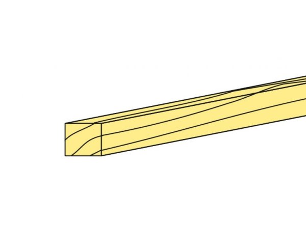 NUSSBAUM   1x 4/1m