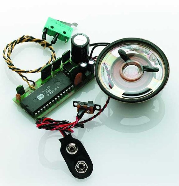 Soundmodul Merlin V12 Flugzeugmotor